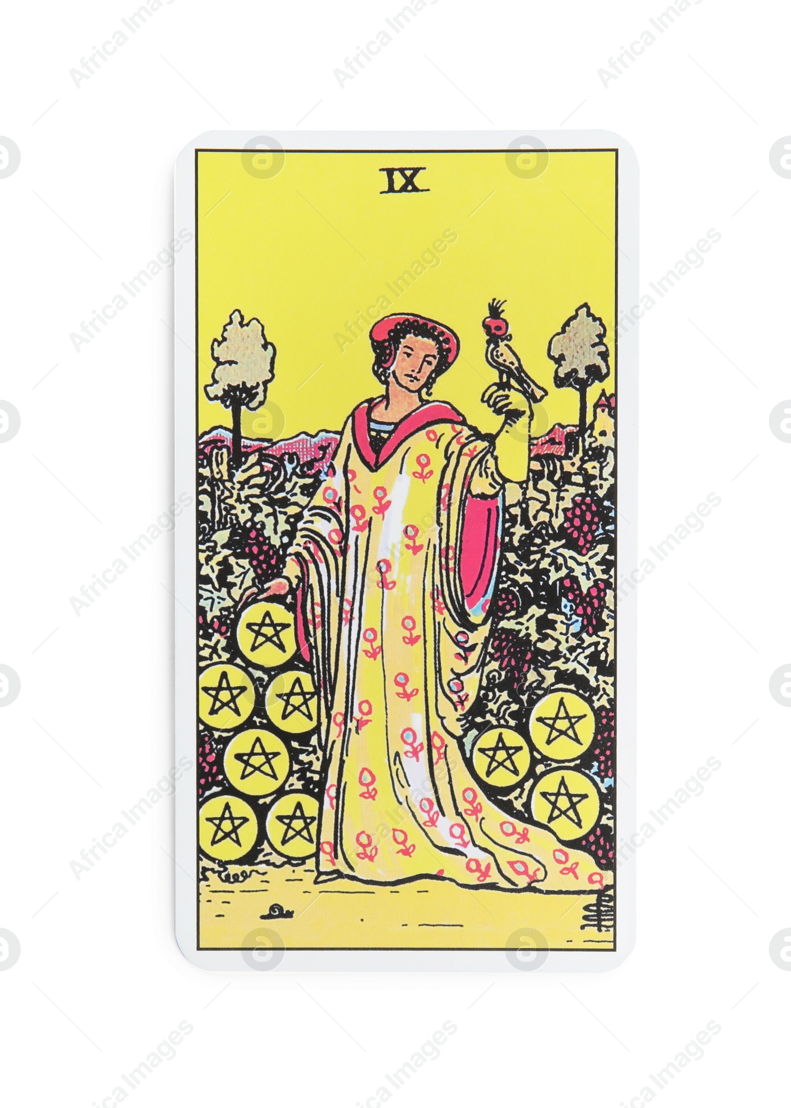 Photo of The Nine of Pentacles tarot card on white background, top view
