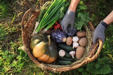 Man harvesting different fresh ripe vegetables on farm, top view