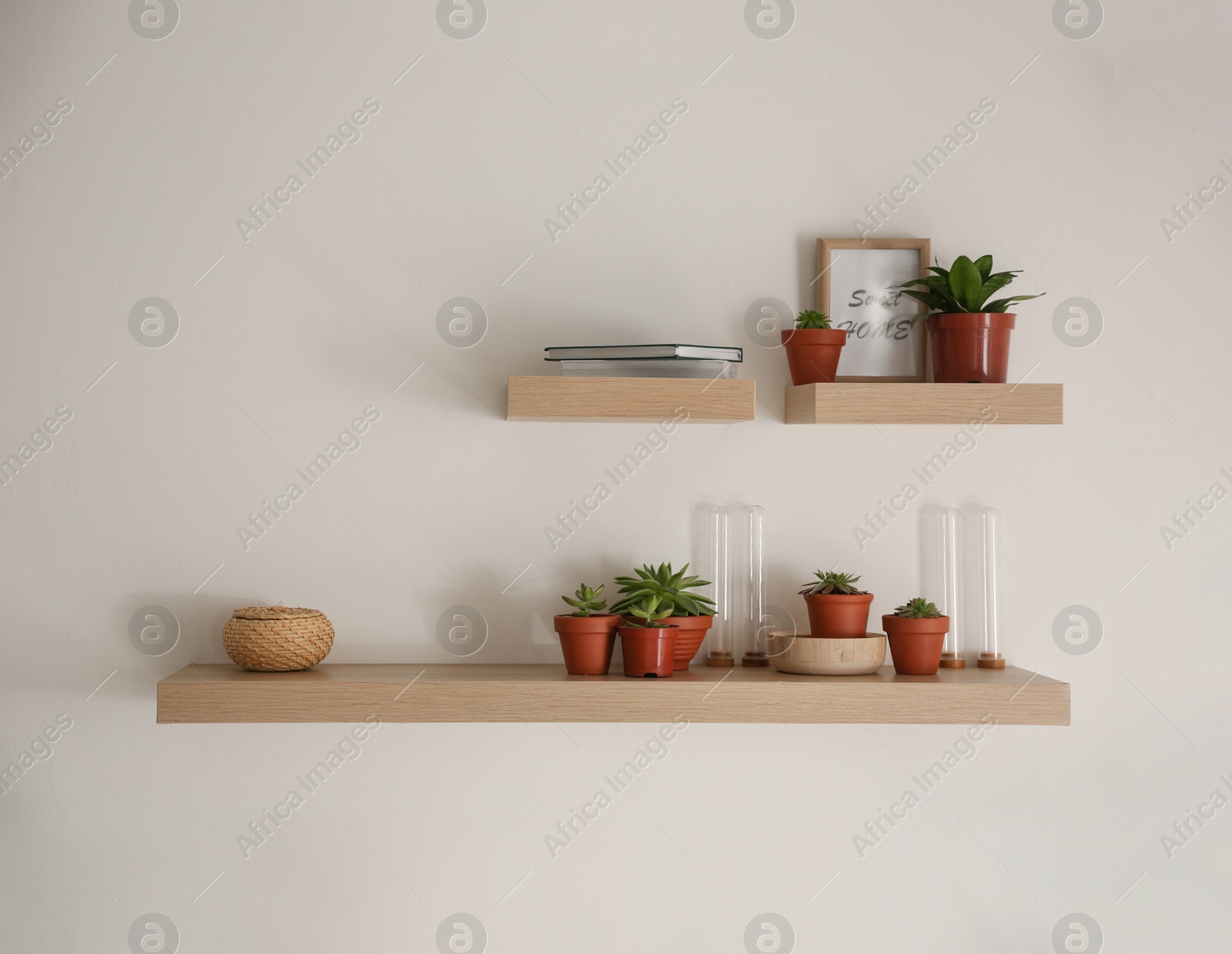 Photo of Wooden shelves with beautiful plants and different decorative elements on light wall