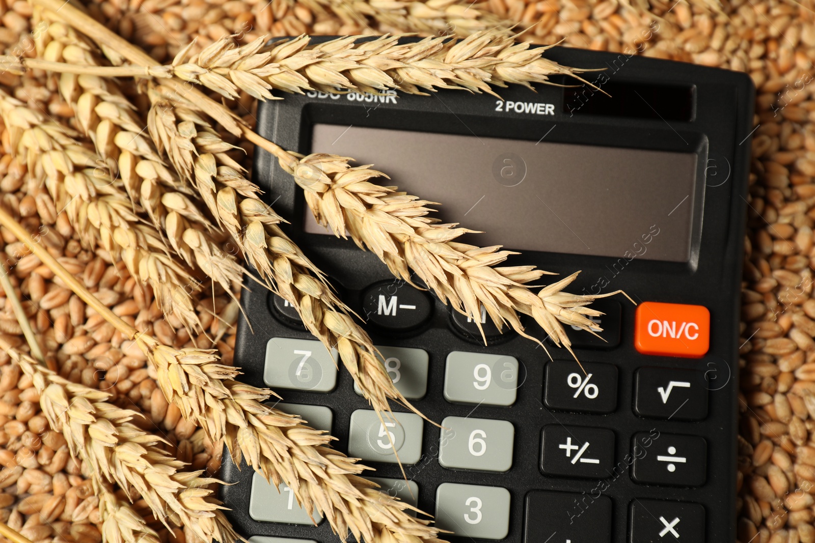 Photo of Calculator and wheat ears on grains, closeup. Agricultural business