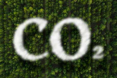 Concept of clear air. CO2 inscription and beautiful green forest, top view