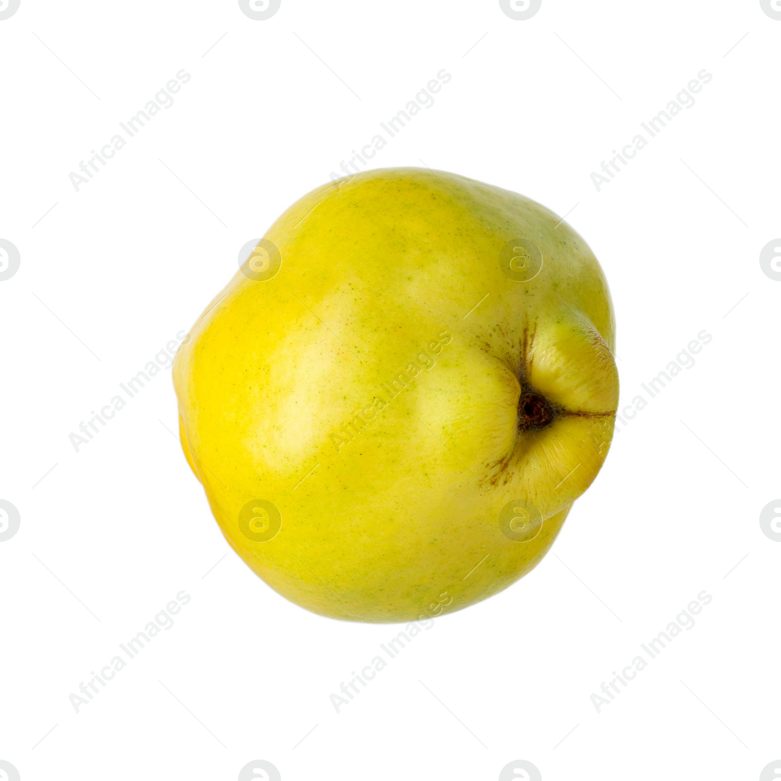 Photo of Delicious fresh ripe quince isolated on white