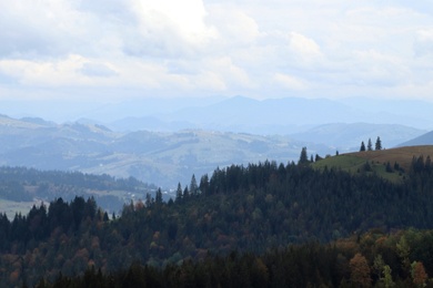 Photo of Beautiful mountain landscape with conifer forest on autumn day