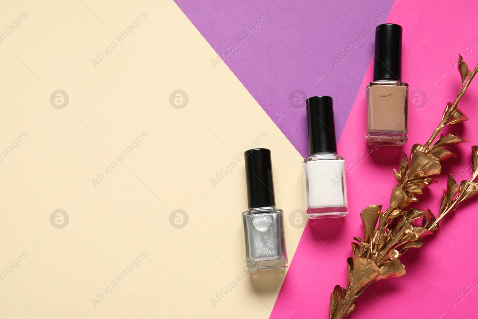 Photo of Nail polishes and golden branch on color background, flat lay. Space for text