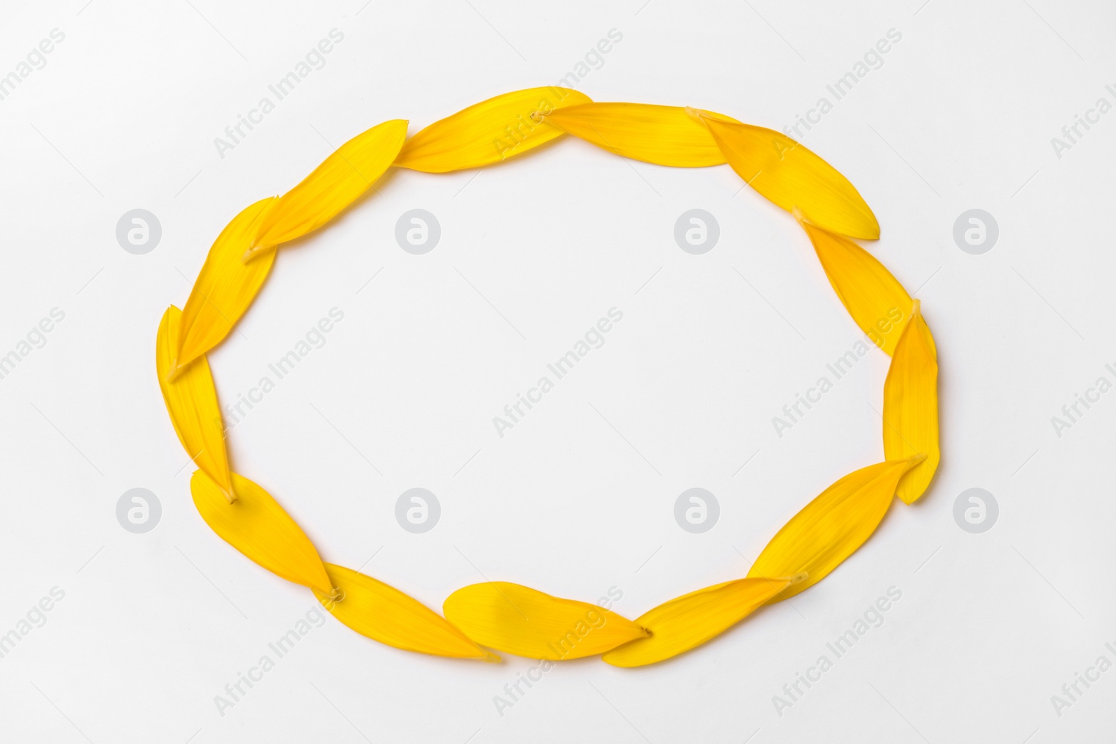 Photo of Frame made with sunflower petals on white background, top view. Space for text