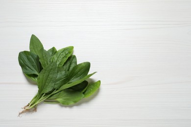 Photo of Broadleaf plantain leaves on white wooden table, flat lay. Space for text
