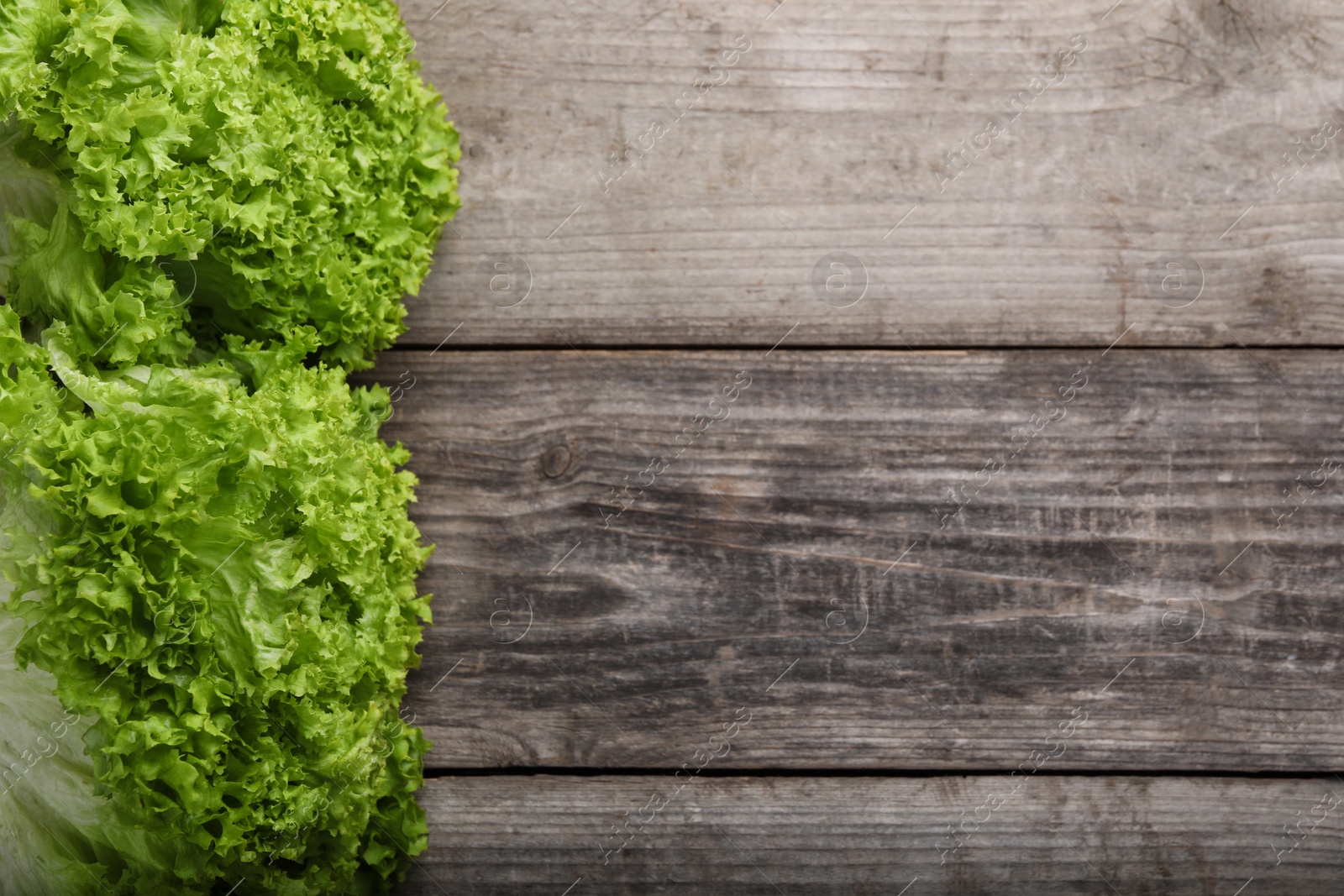Photo of Fresh lettuce on wooden table, flat lay and space for text. Salad greens