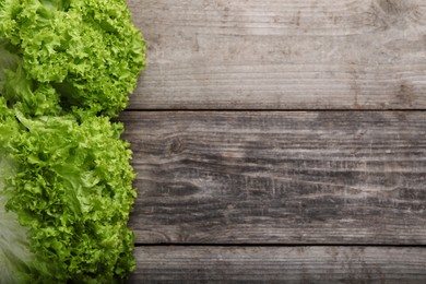 Fresh lettuce on wooden table, flat lay and space for text. Salad greens