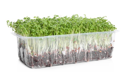 Fresh organic microgreen in plastic container on white background