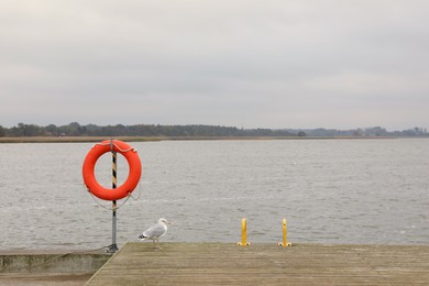 Photo of Wooden pier with lifebuoy and seagull near sea, space for text
