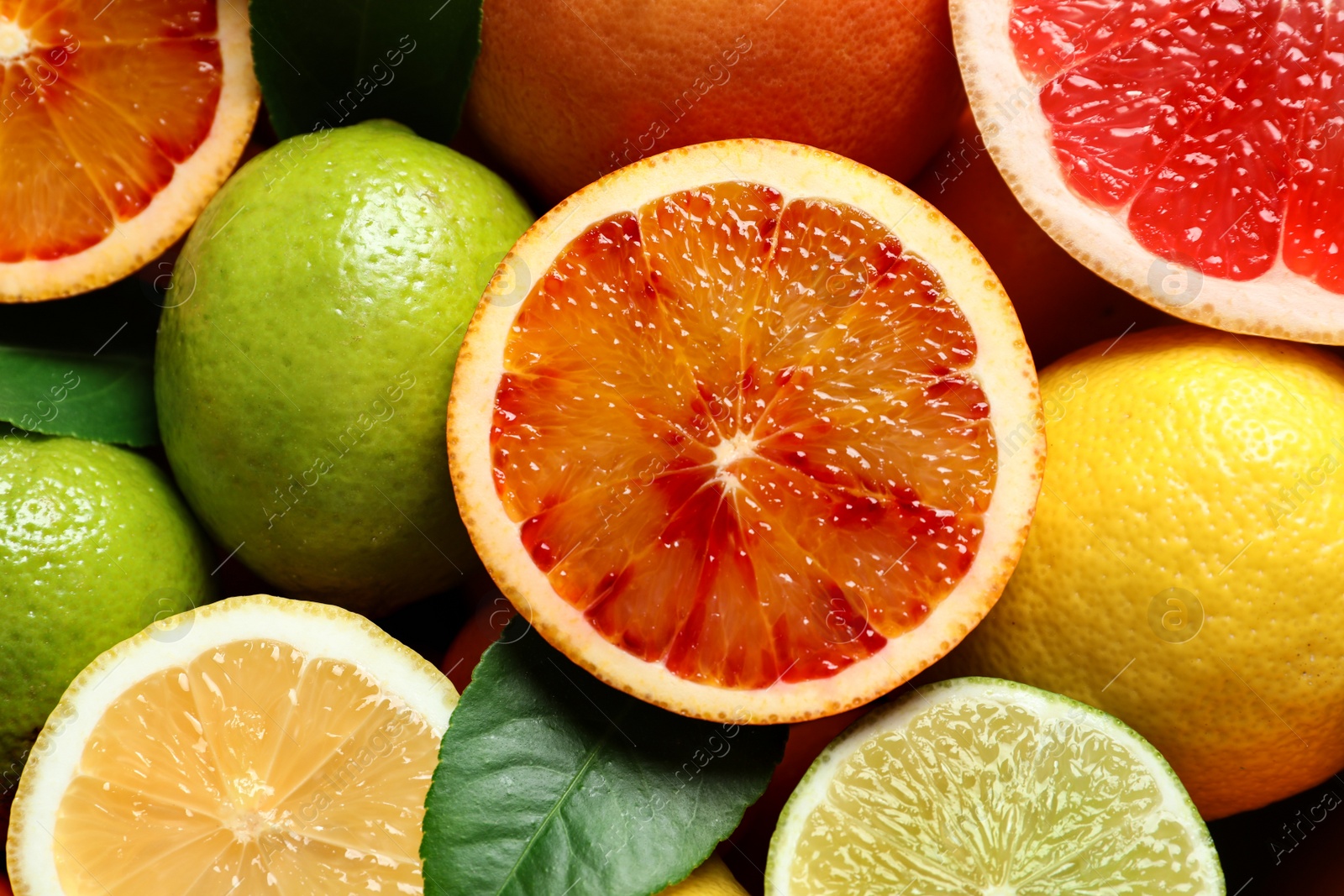 Photo of Different citrus fruits as background, top view