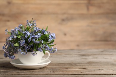 Photo of Beautiful forget-me-not flowers in cup and saucer on wooden table, closeup. Space for text