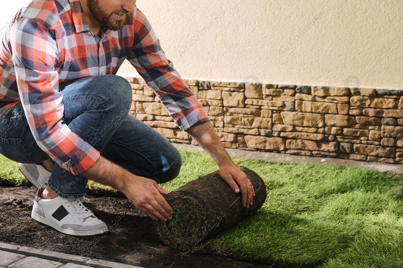 Photo of Young man laying grass sod on ground at backyard, closeup. Space for text