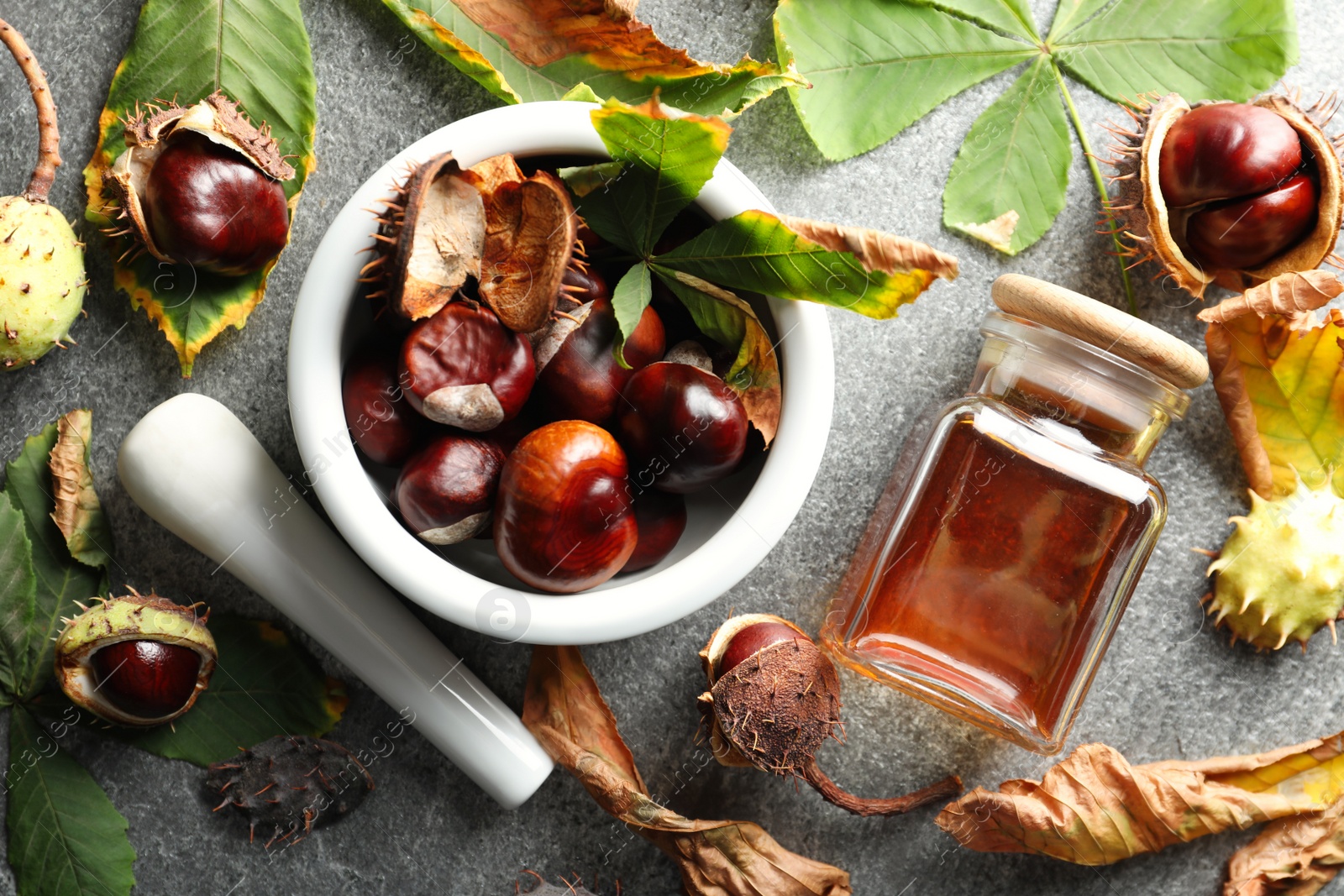 Photo of Flat lay composition with fresh horse chestnuts and extract on grey table