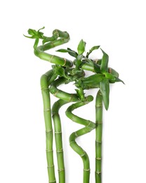 Photo of Beautiful green bamboo stems with leaves on white background, top view