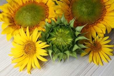 Many beautiful sunflowers on wooden table, closeup