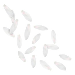 Image of Lotus flower petals falling on white background