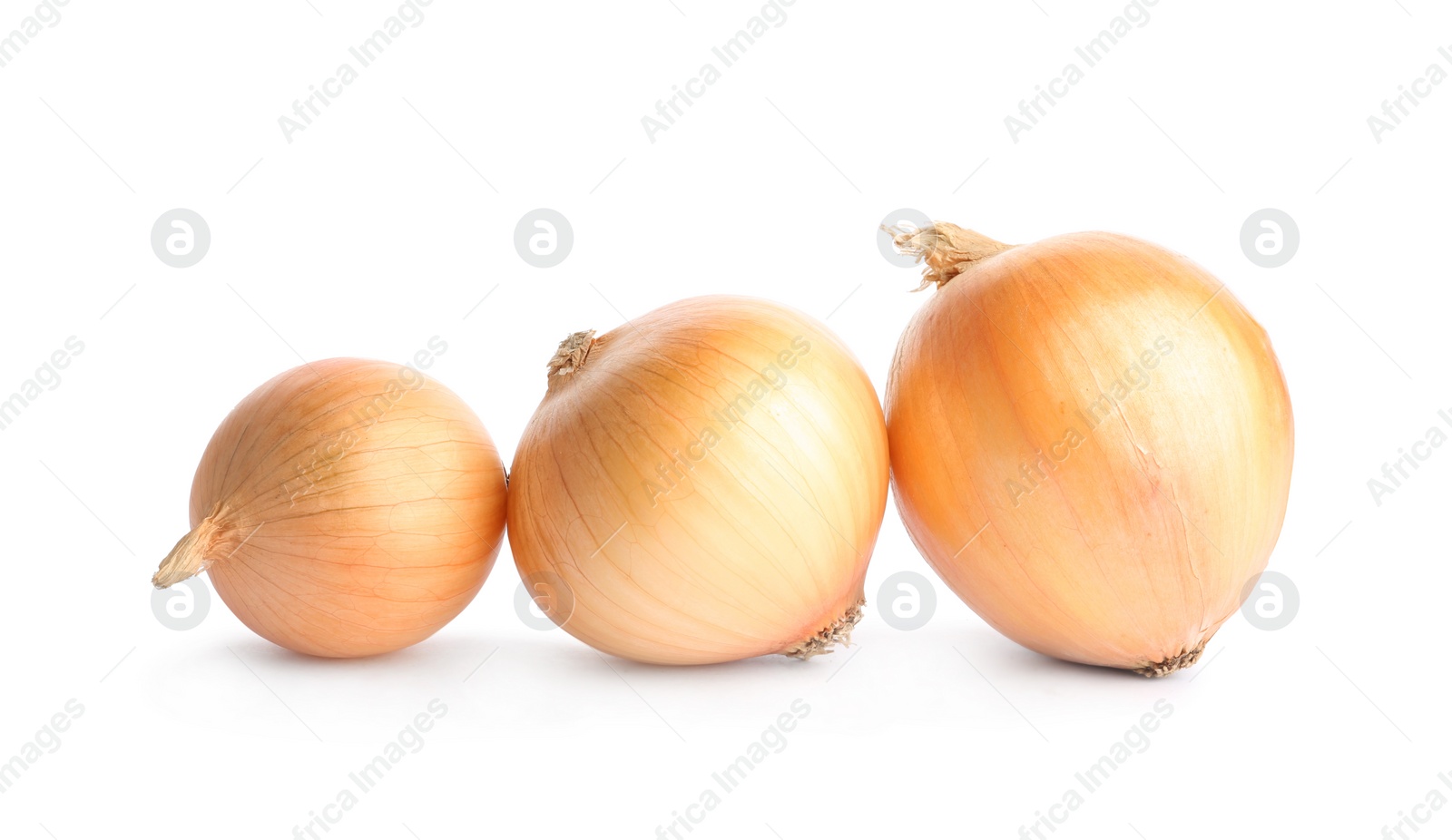 Photo of Fresh ripe onion bulbs on white background