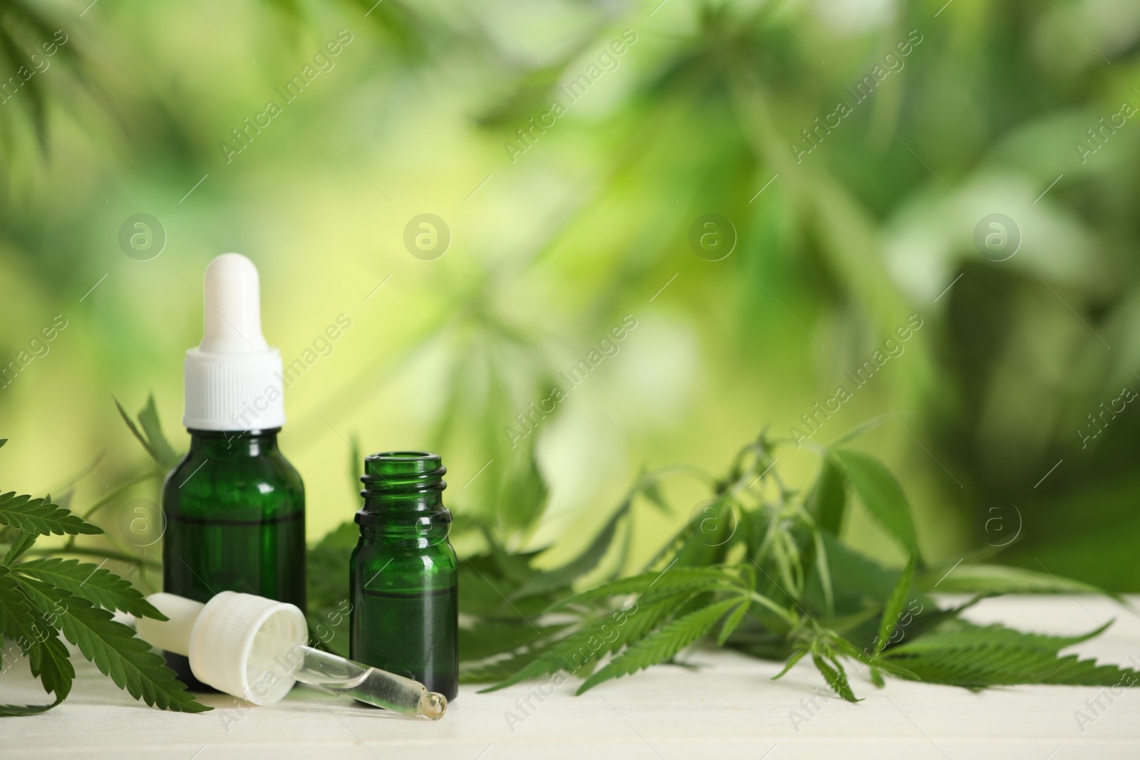 Photo of Hemp leaves, bottles of CBD oil and THC tincture on white wooden table. Space for text