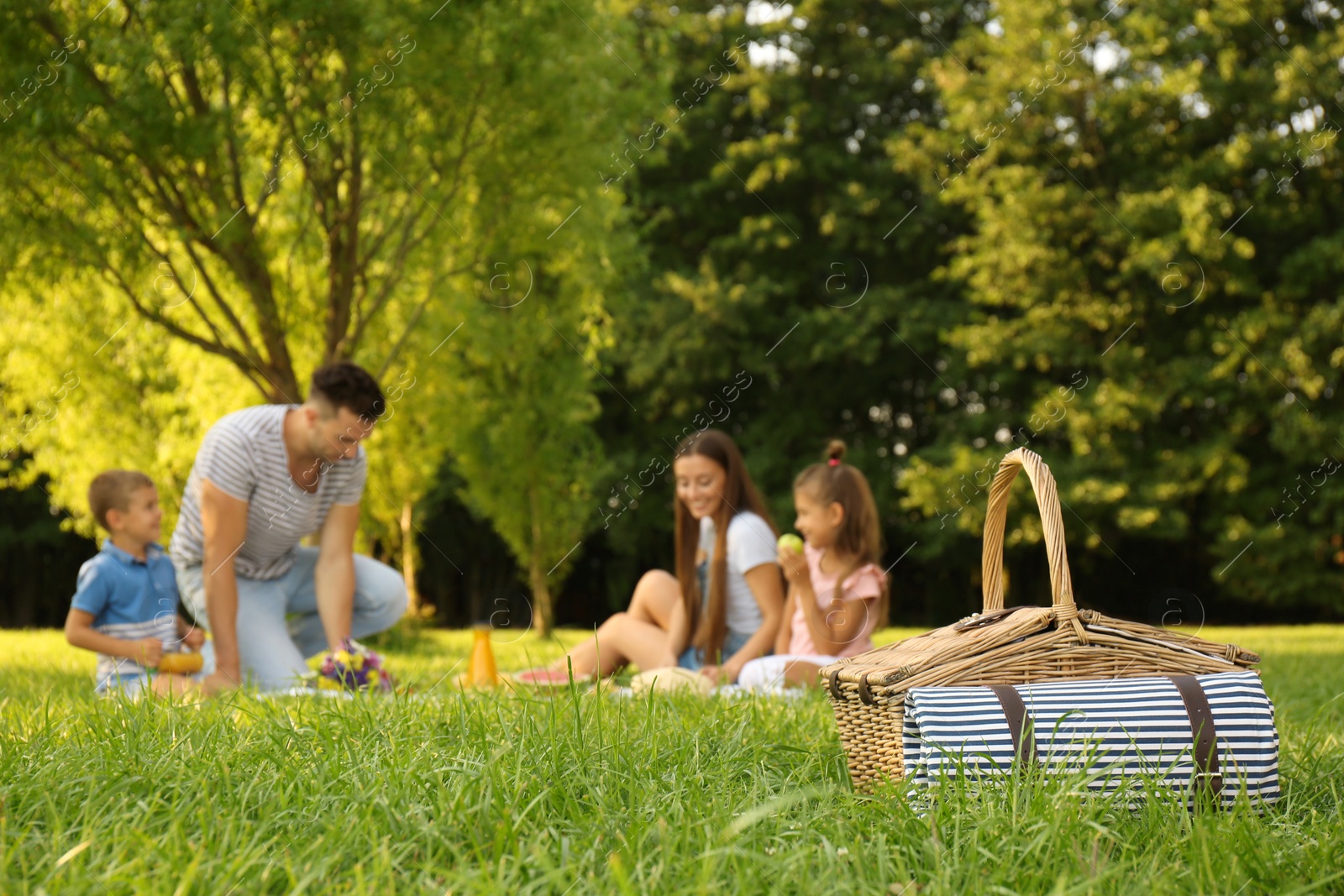 Photo of Picnic basket and happy family on background in park