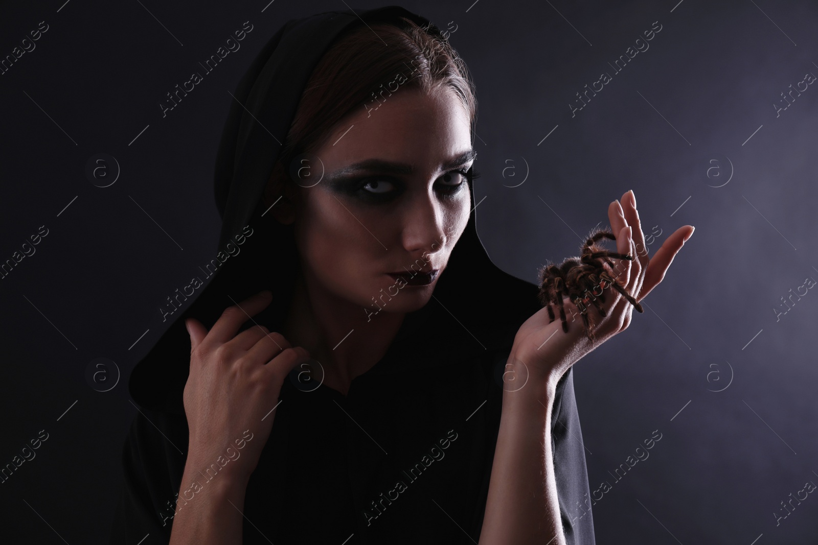 Photo of Mysterious witch with spooky spider on black background