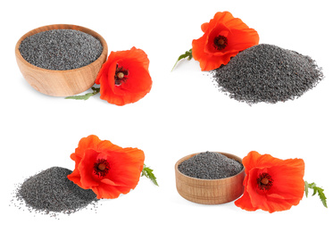 Image of Collage with poppy seeds on white background
