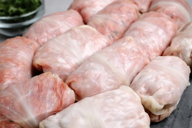 Uncooked stuffed cabbage rolls on board, closeup view