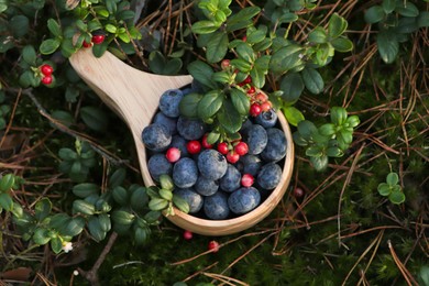 Photo of Wooden mug full of fresh ripe blueberries and lingonberries in grass, above view