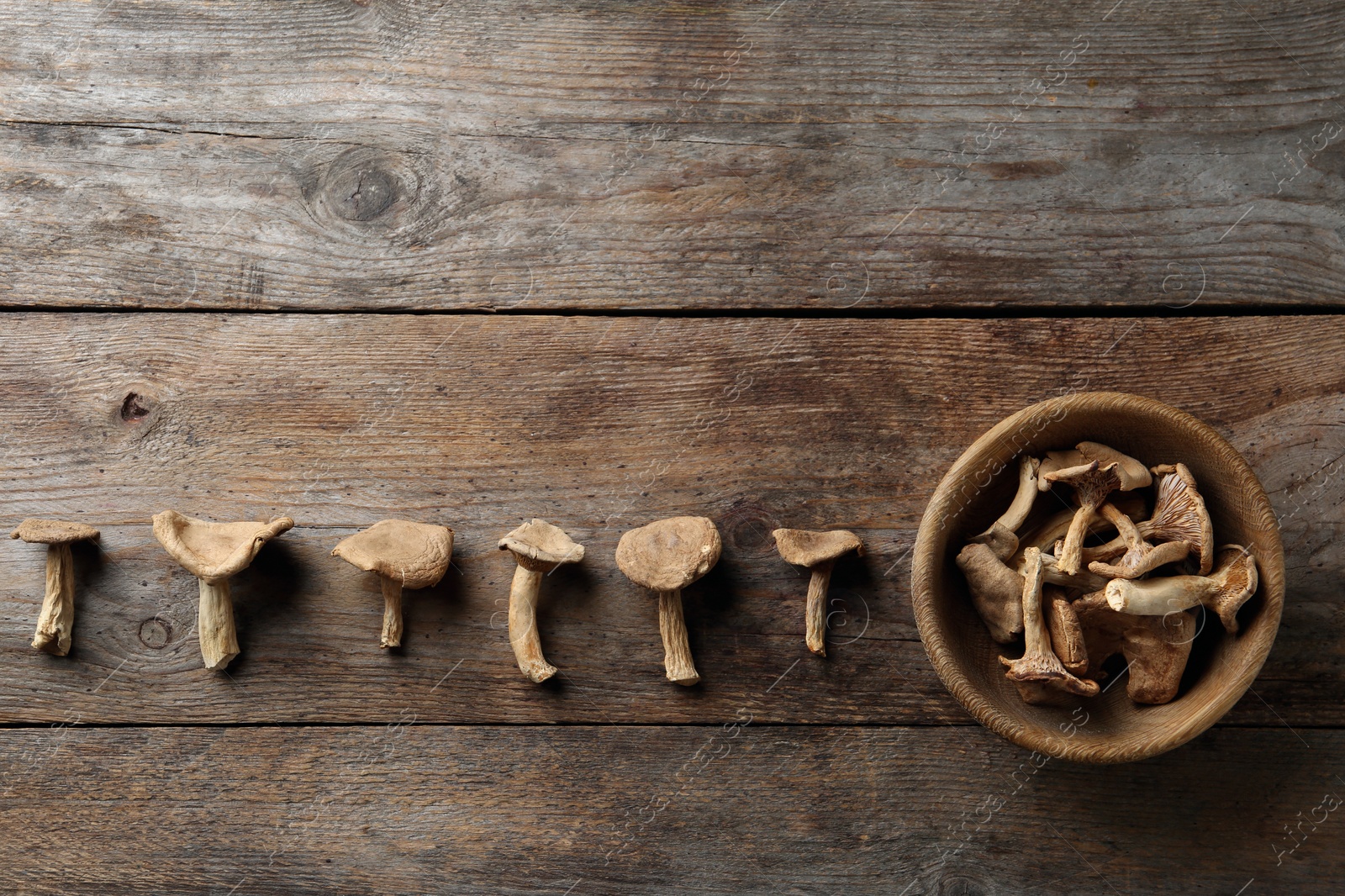 Photo of Flat lay composition of dried mushrooms on wooden background