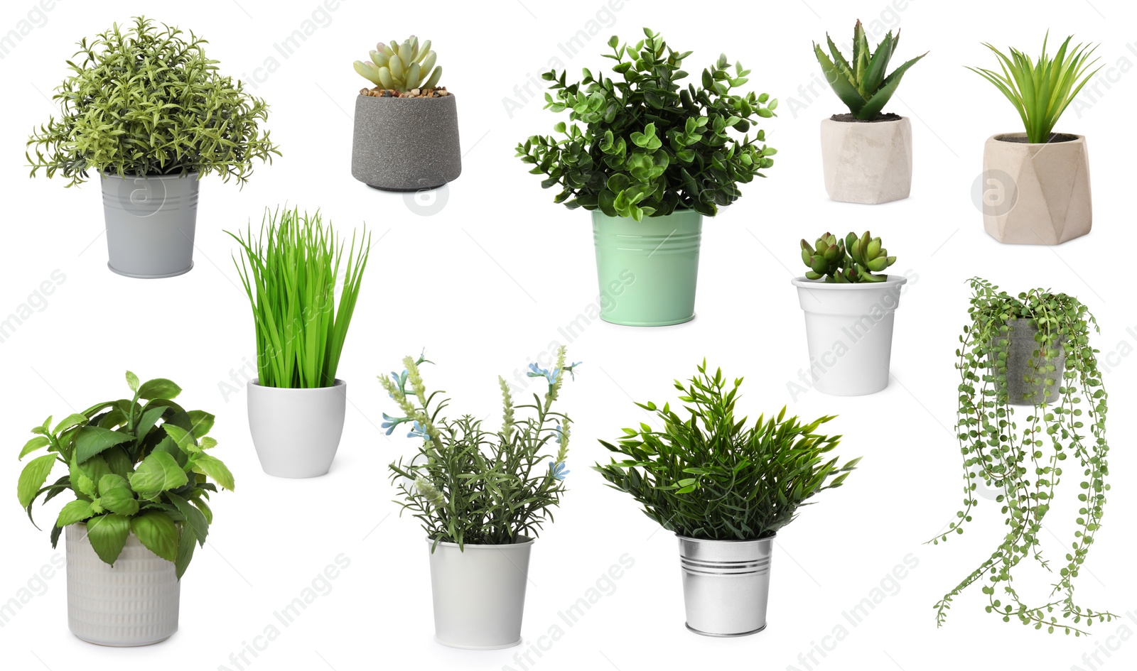 Image of Set of artificial plants in flower pots isolated on white