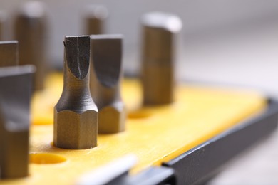 Screwdriver bit set on blurred background, closeup