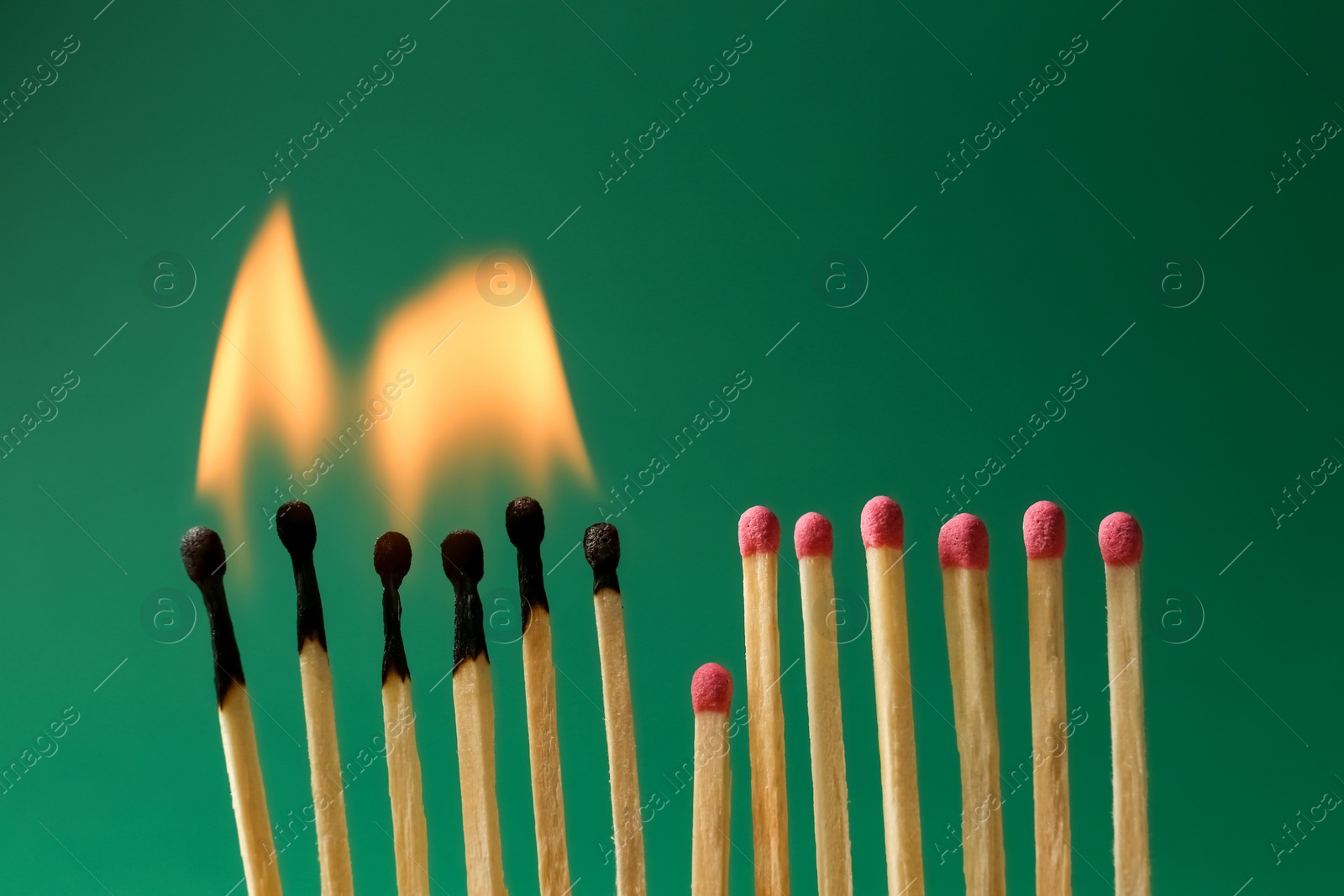 Photo of Burning and whole matches on green background. Stop destruction concept