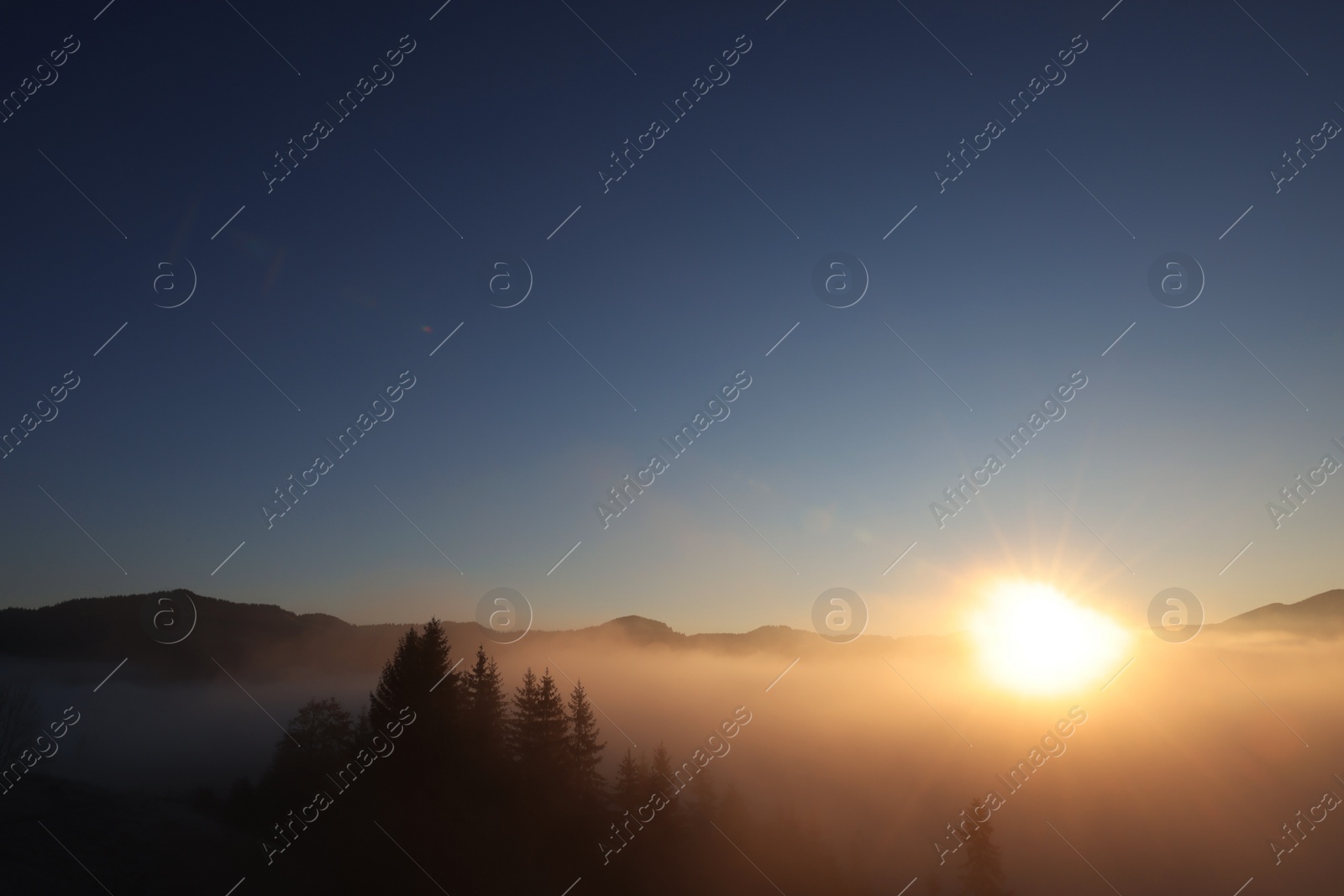 Photo of Aerial view of beautiful mountain landscape with forest and thick mist at sunrise