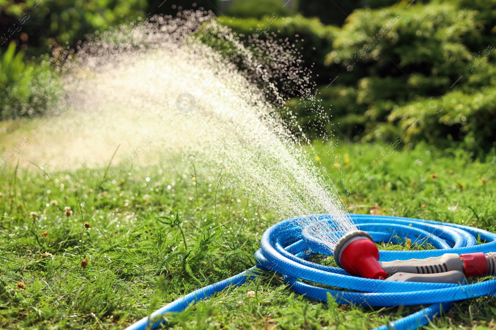 Photo of Water spraying from hose on green grass outdoors