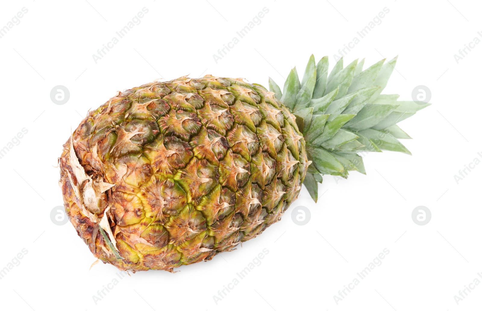 Photo of One whole ripe pineapple isolated on white