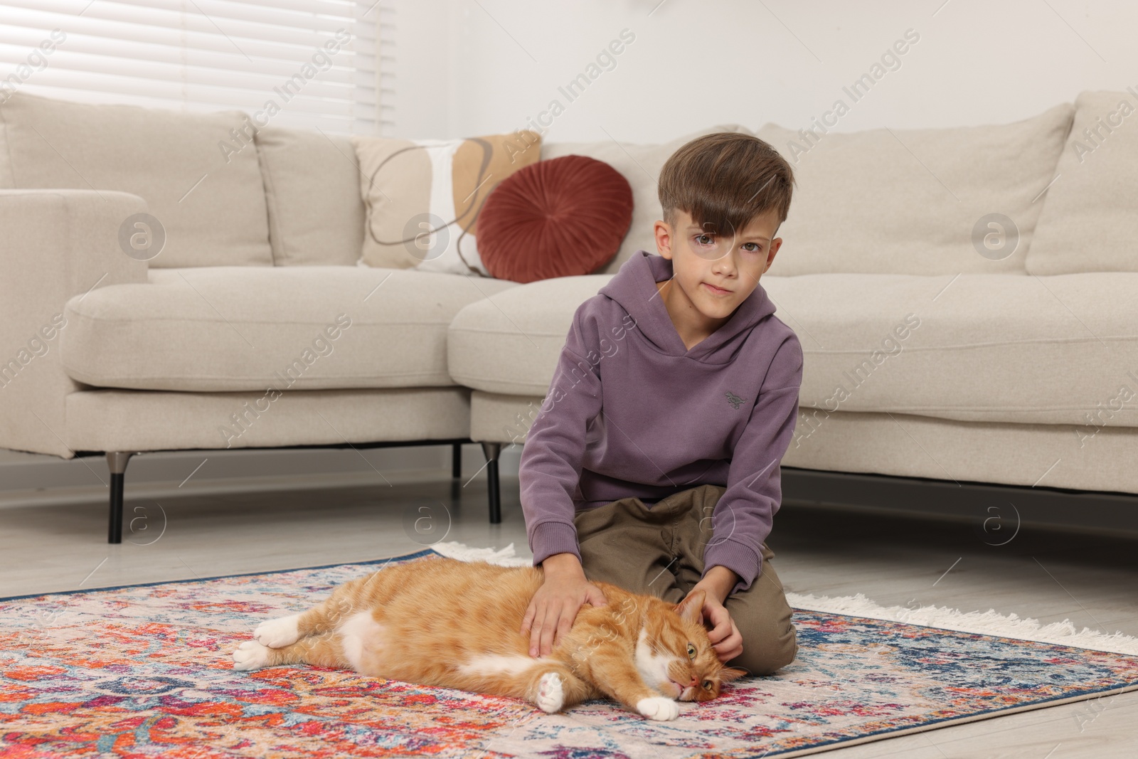 Photo of Little boy petting cute ginger cat on carpet at home