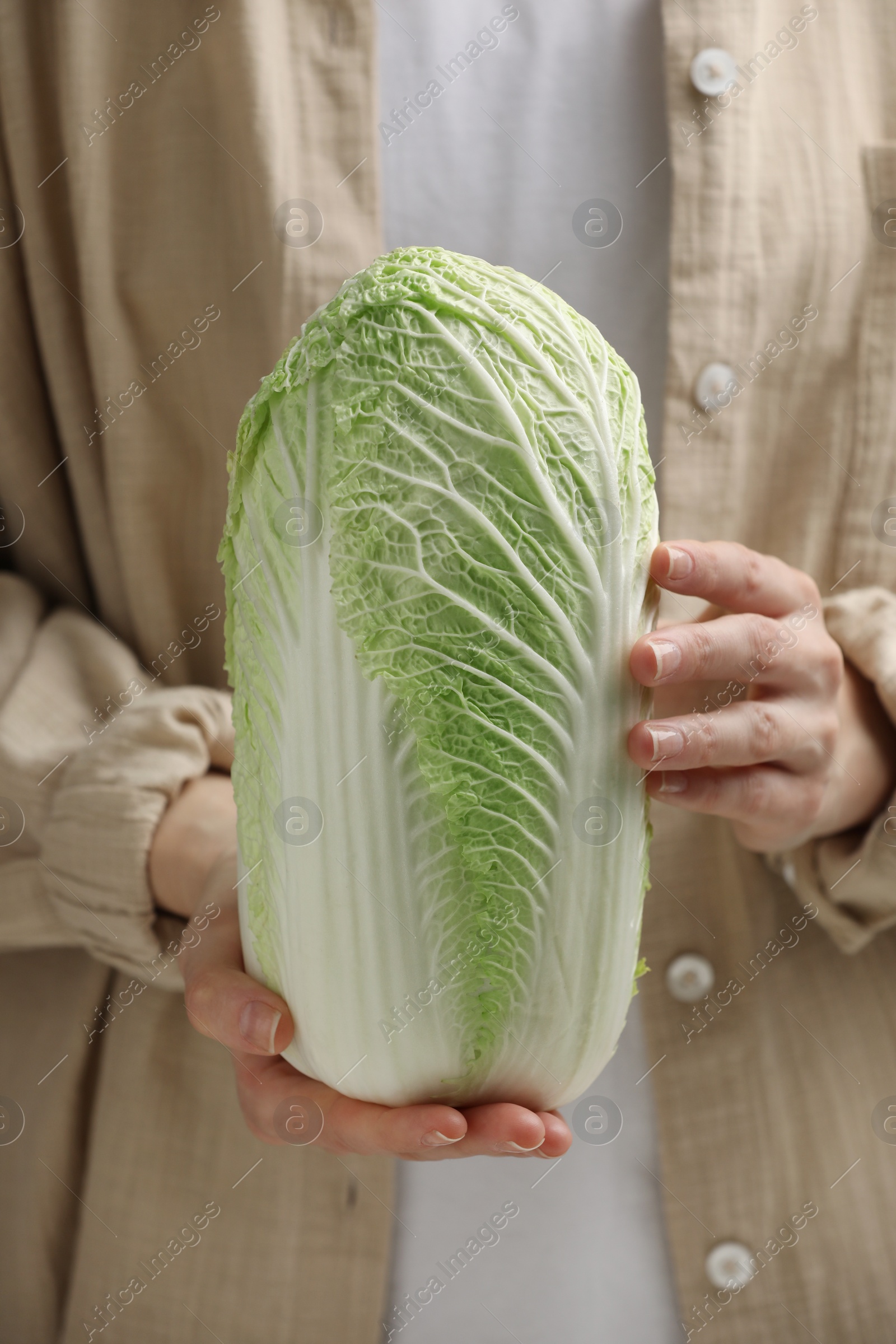 Photo of Woman holding fresh chinese cabbage, closeup view