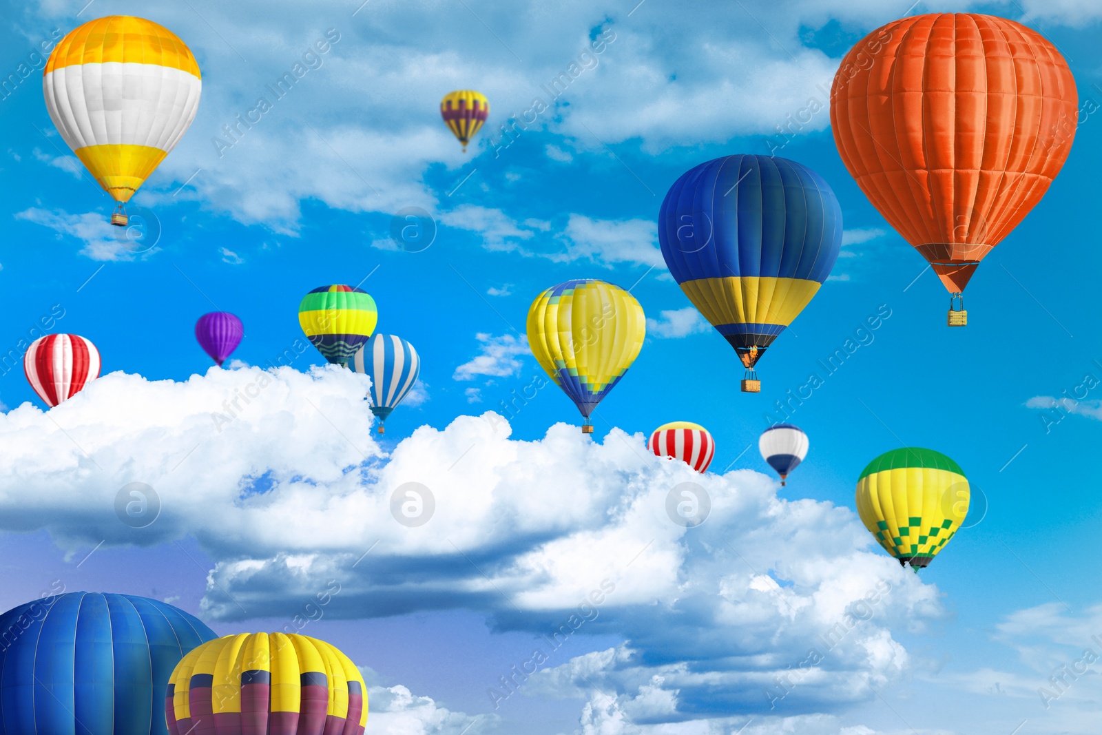 Image of Many bright hot air balloons flying in sky