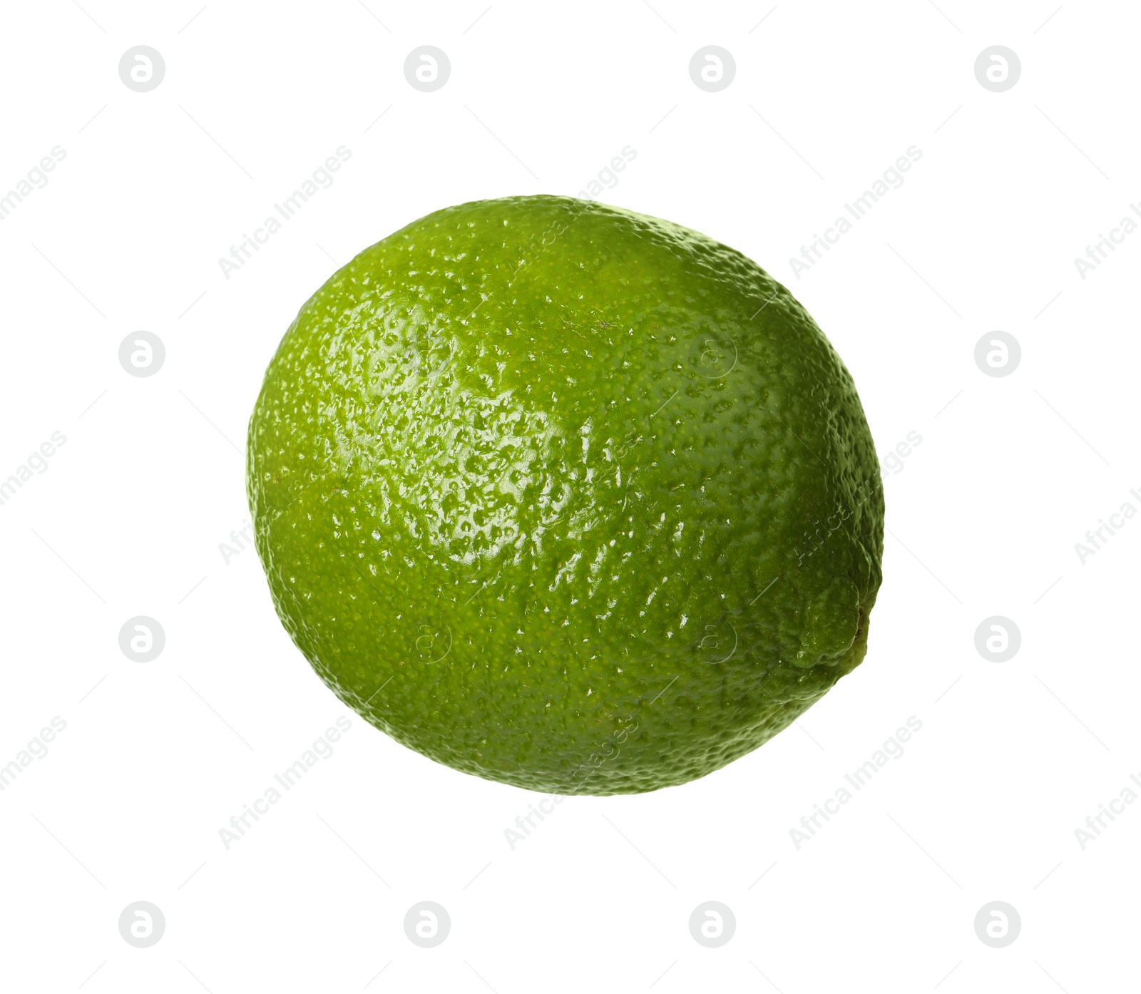 Photo of Citrus fruit. One fresh ripe lime isolated on white