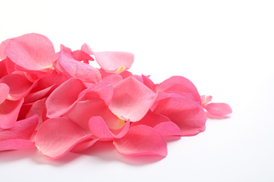 Pile of fresh pink rose petals on white background