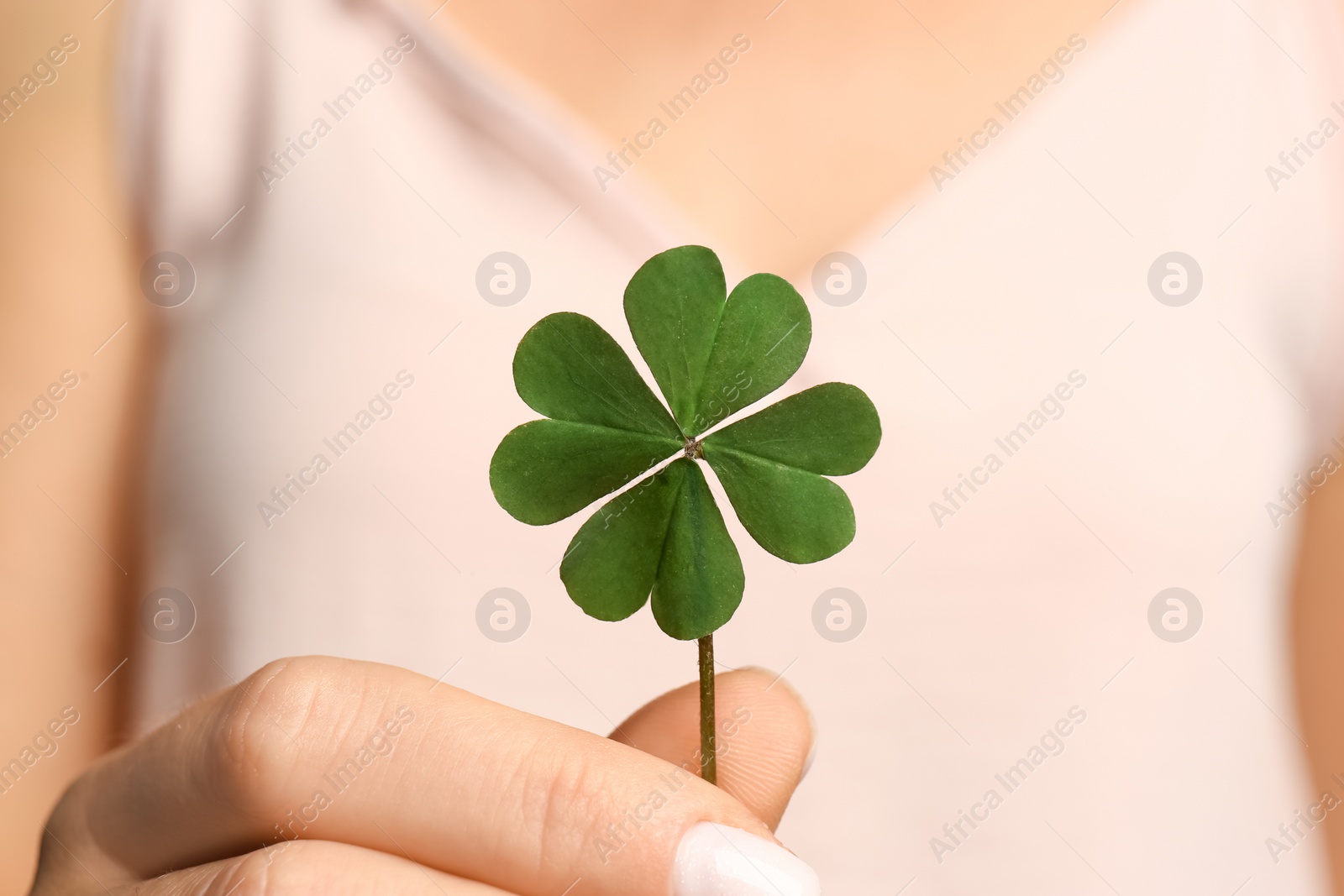 Photo of Woman holding green four leaf clover in hand, closeup