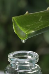 Photo of Aloe vera gel dripping from leaf into bottle against blurred background, macro view