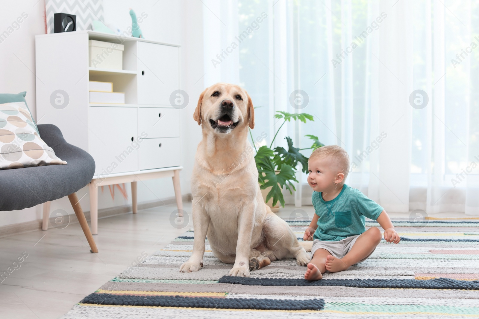 Photo of Adorable yellow labrador retriever and little boy at home