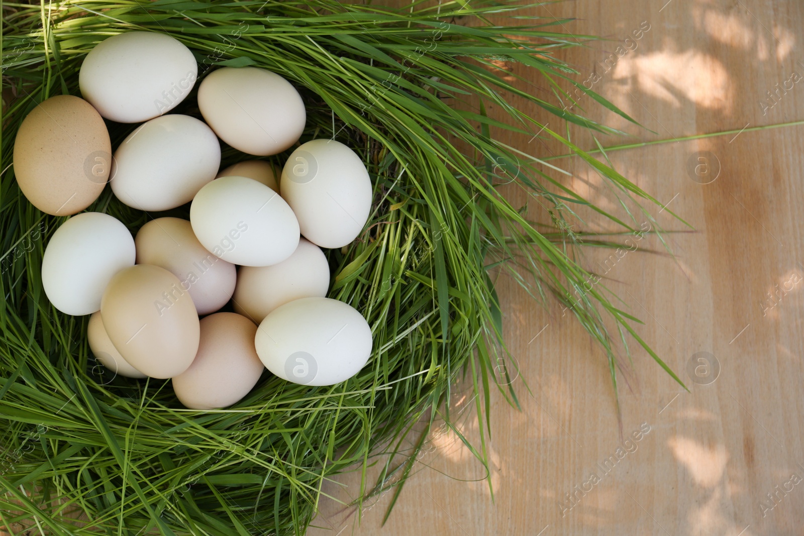 Photo of Nest made of green grass with fresh raw eggs on wooden table, top view. Space for text