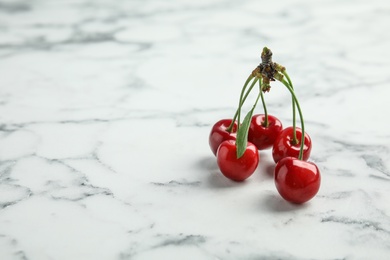 Sweet red cherries on marble table