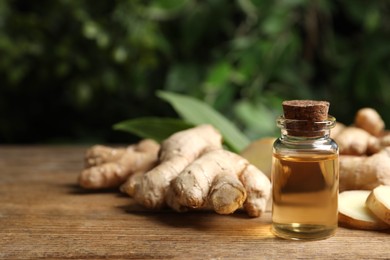 Photo of Ginger essential oil in bottle on wooden table. Space for text
