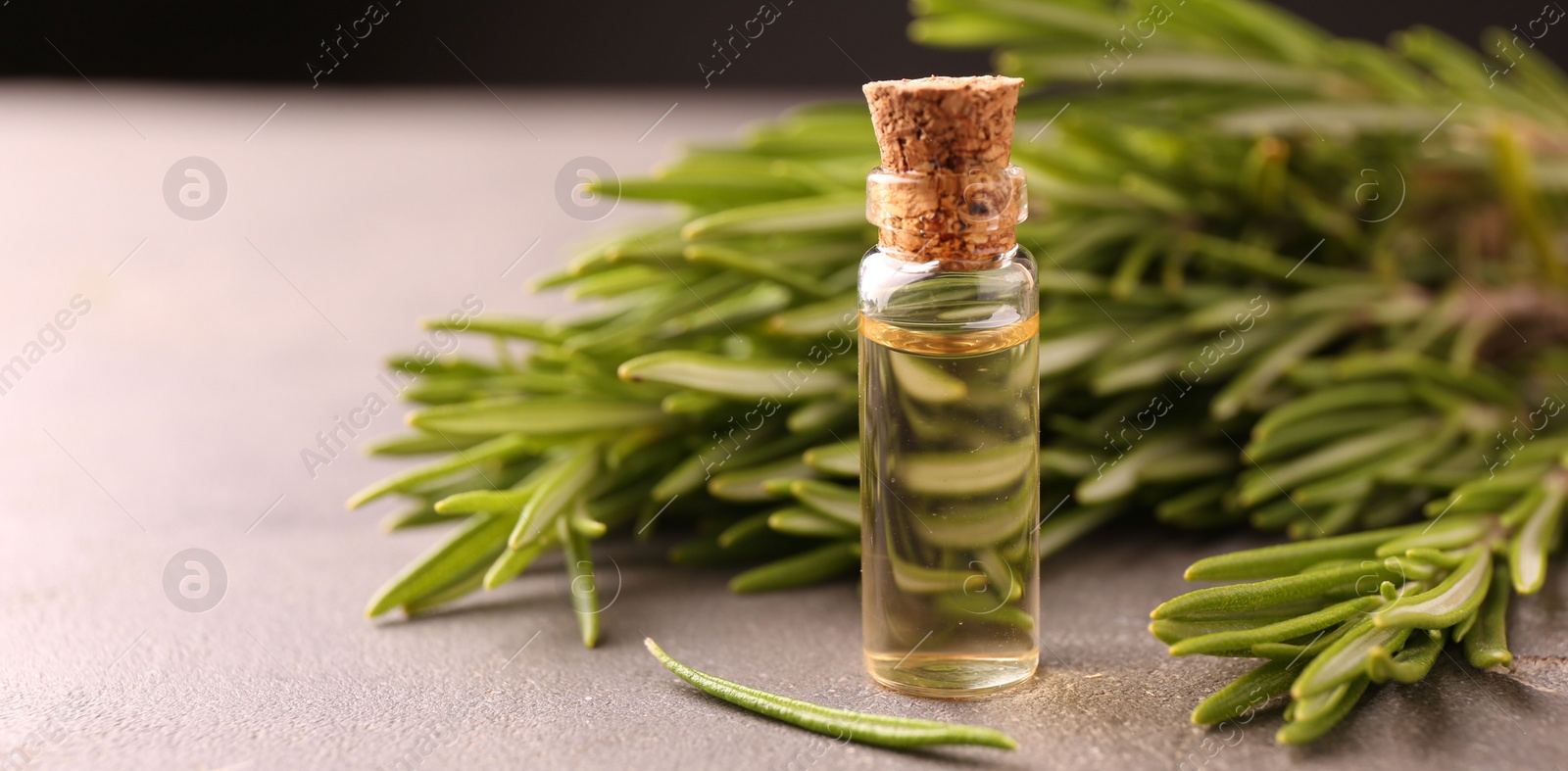 Photo of Essential oil in bottle and rosemary on grey table