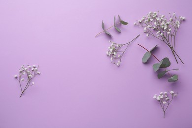 Beautiful floral composition with gypsophila and eucalyptus twigs on violet background,  flat lay. Space for text