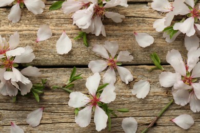 Photo of Beautiful blossoming tree branches and flower petals on wooden table, flat lay. Spring season