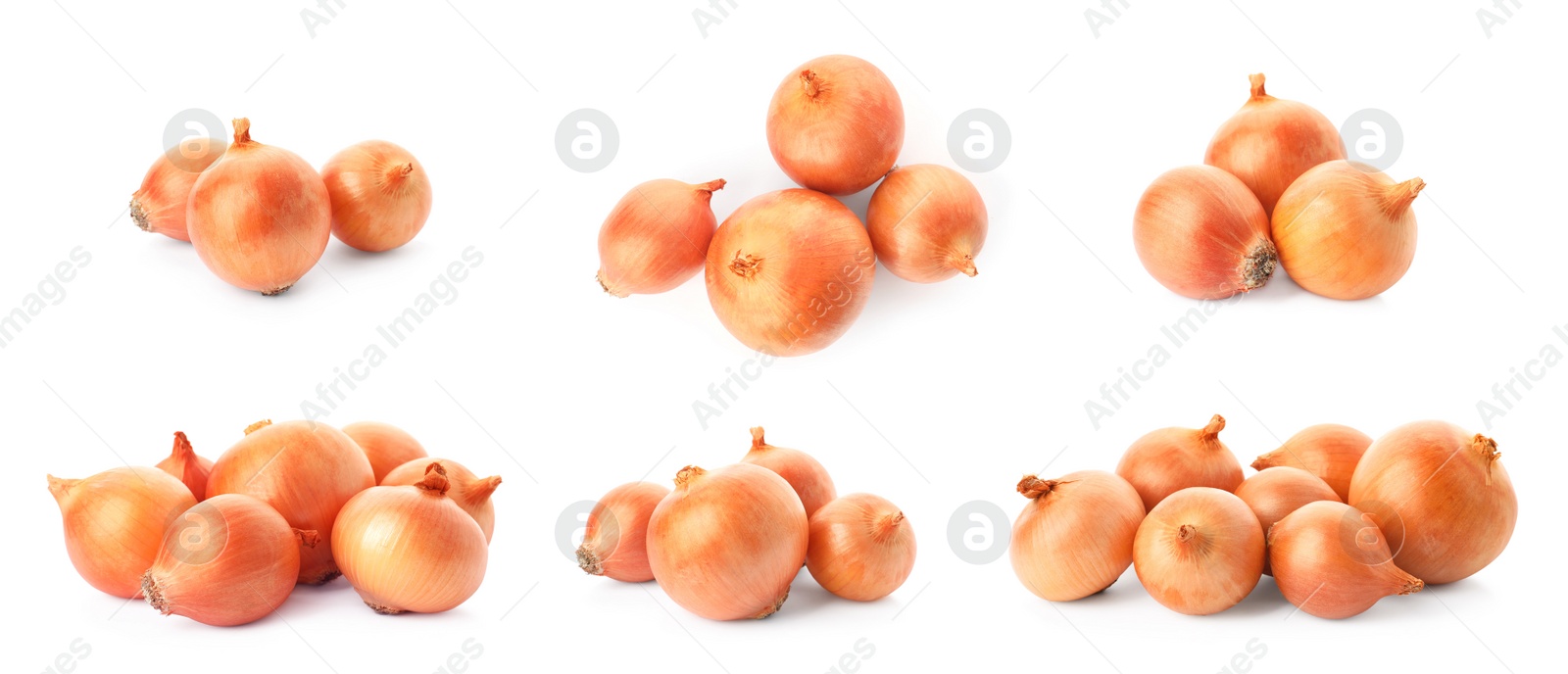 Image of Collage with fresh ripe onion on white background